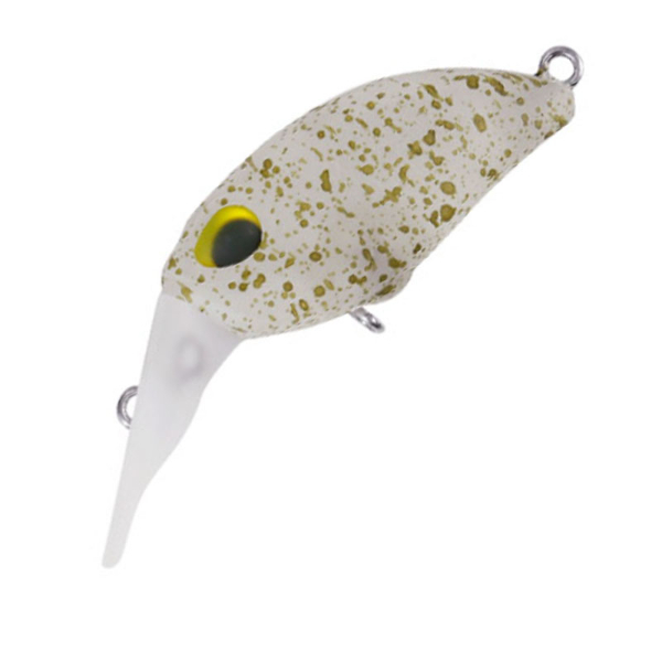 クーガ　ＦＭＲ(Ｍ０７５マットグリーンスプラッシュグロー)